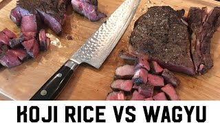 Wagyu Steak vs Koji Rice Steak - Dry Brine with Koji Rice Experiment!