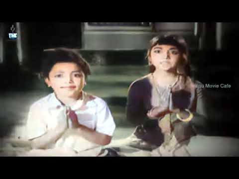 పట్టుకుంటే పదివేలు 1967 తల్లివి తండ్రివి నీవే 