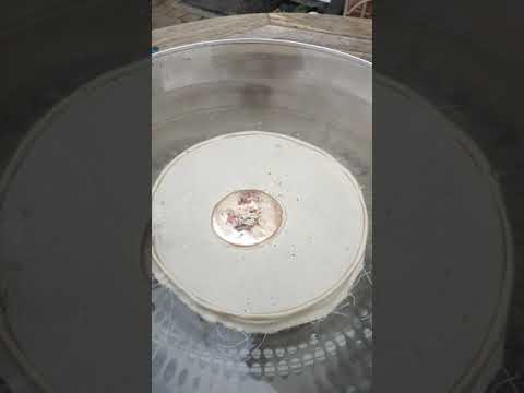 Shibuichi-Block gießen