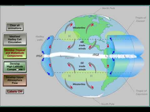 Global Winds Animation