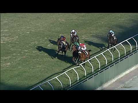 Napoli Galoppo 14/02/2023 - 5ª corsa