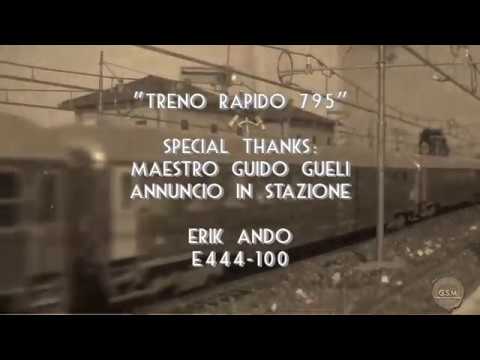 TRENO RAPIDO 795