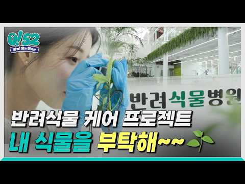 [생방송 0!52]  반려식물 케어 프로젝트 : 식물을 부탁해