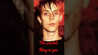 #petermurphy #the scarlet thing in you#goth #postpunk
