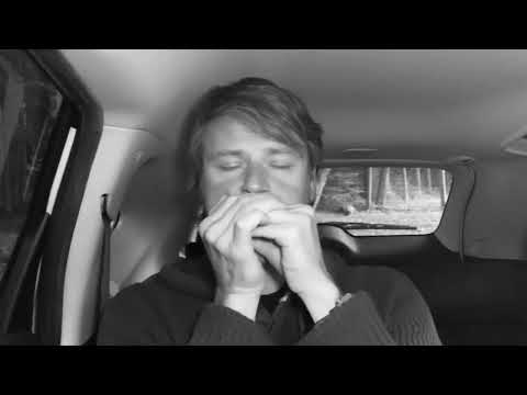 Páslo dievča pávy (slovak folk song) + harmonica TABS