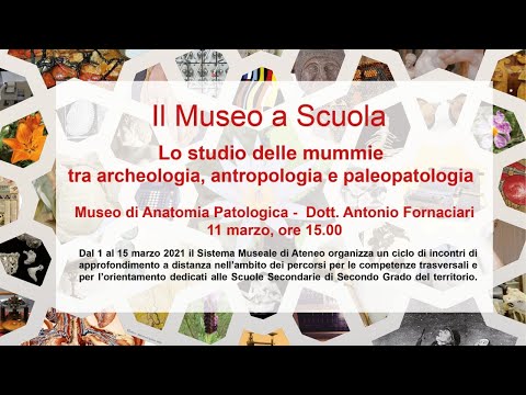 , title : 'Lo studio delle mummie tra archeologia, antropologia e paleopatologia'