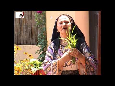 Maria Butaciu -  M- am suit in dealul Clujului