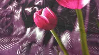 Bed Sheet Review Bangladesh
