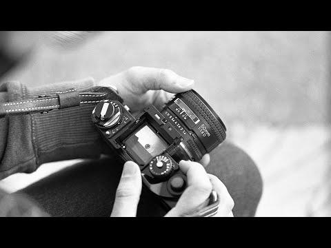 Shoot day 2 - Kodak Tmax and Ilford HP5