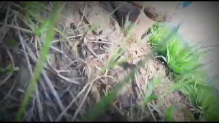 Download lagu Story WA keren WAKTU ( Bondan Prakoso) mp3 Download lagu Story WA keren WAKTU ( Bondan Prakoso) mp3