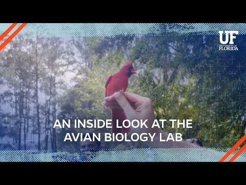 exploring biology in the laboratory pendarvis lab book exploring biology in the laboratory pendarvis lab book