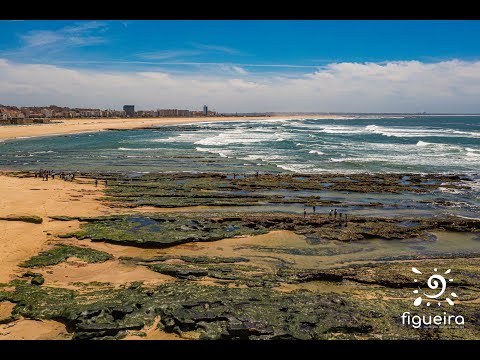Descobre os encantos da Figueira da Foz