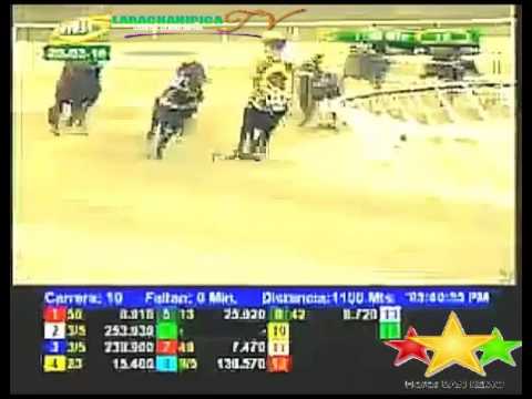 LA RINCONADA 10 CARRERA, DOMINGO 20 DE MARZO DEL 2016