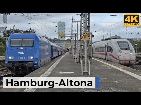 Hamburg-Altona 16.08.2025 - Morgenstimmung mit ICE, Nachtzügen, Regional- & S-Bahn-Verkehr