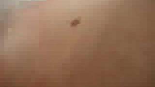 MSTRKRFT - Work On You - Coachella 07