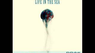 Jaime Read - Life In The Sea - Batti Batti