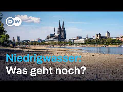 Das Niedrigwasser bringt die deutsche Wirtschaft ins Wanken