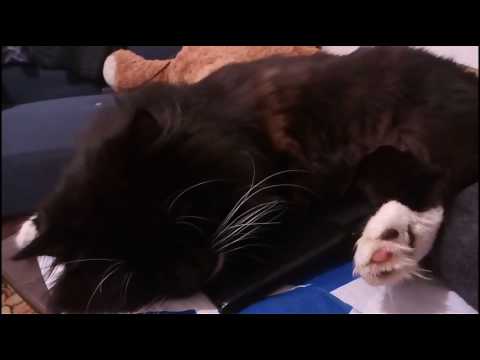 The most intense video ever