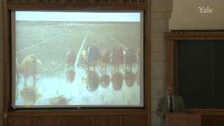 17. Malaria (II): The Global Challenge