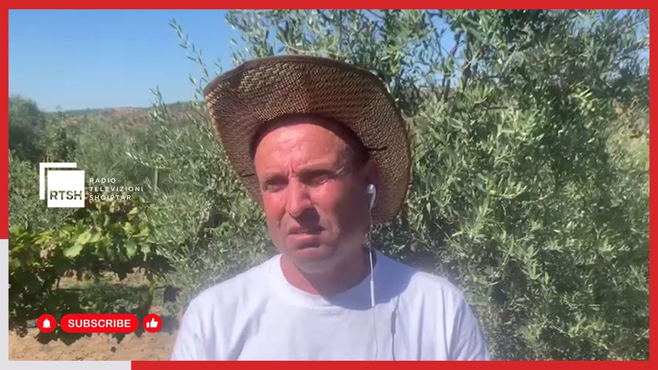 Ferma organike me ullinj – Fermeri nga Kurjani, aplikues për herë të katërt në skemën e AZHBR