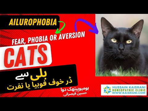 Fear Phobia of CATS | Bili sey Dur allergy anxiety phobia ka ilaj | Aelurophobia | Urdu Hindi |