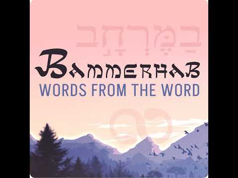 29 - Ascension is Rapture