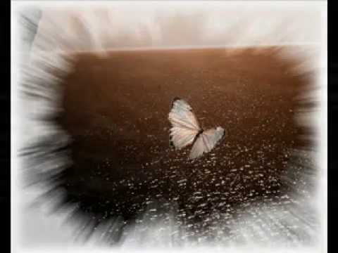 Щурците - Звезден час