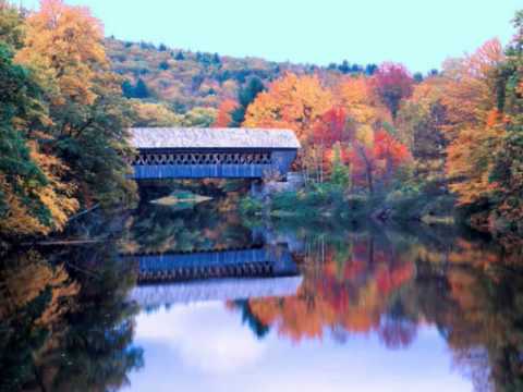 Meditazione per i momenti difficili (ORA, Osserva, Respira,Agisci)   Dott. Enrico Prosperi