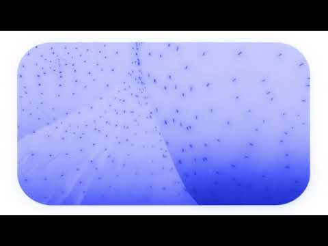 Photay - Barely There (Official Audio)