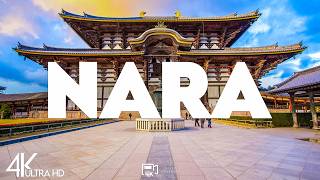 Top 10 Best Things to do in Nara, Japan [Nara Travel Guide 2026]