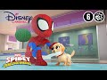 Spidey | Puppy Paniek | Disney Channel NL