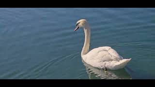 Very beautiful place rother valley Rotherham  🇬🇧#uk