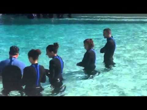 Tanya and dolphins 1