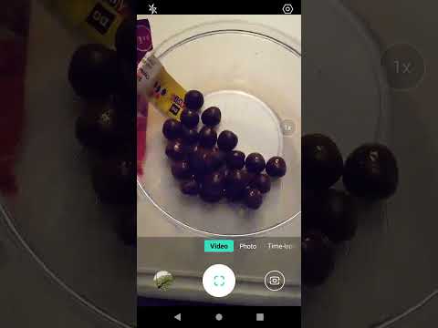 Product Review: Landmark Confections Dark Chocolate Pomegranate!!!
