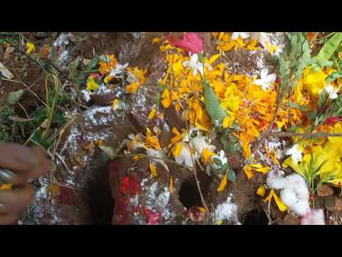 Nagulachavithi syamini with her family