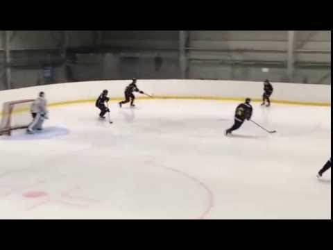 Krefeld Pinguine trainieren in Ostrava