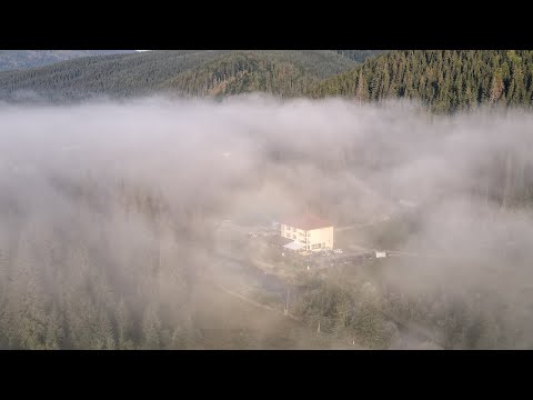 Pensiunea Alex, Padis