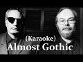 Steely Dan - Almost Gothic (Karaoke)