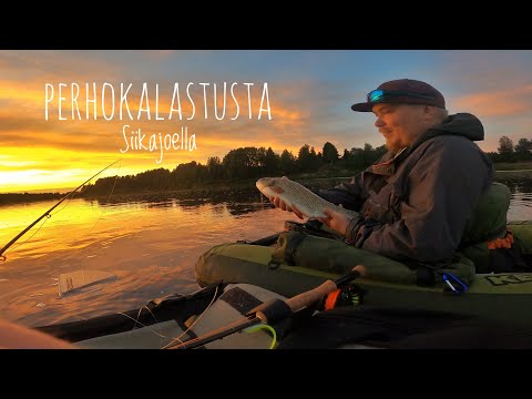 Perhokalastusta kelluntarenkaalla Siikajoella