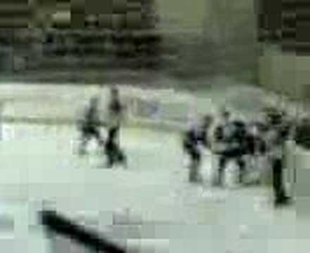 LA VALPE CONTRO I POVERI CUGINASTRI DEGLI ALL STARS (SCARS)