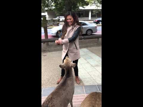 This happens when you have crackers and surrounded