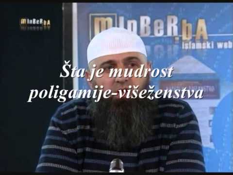 Šta je mudrost poligamije višeženstva