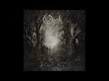 Opeth - The Leper Affinity (Live) [Audio]