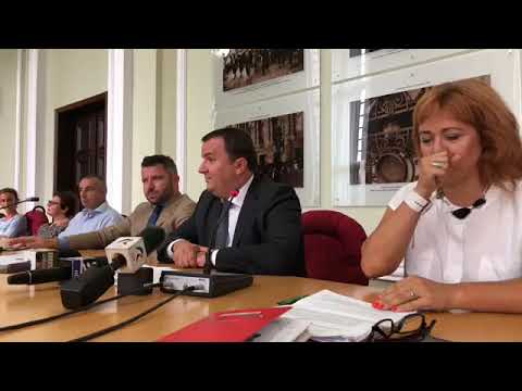 Calin Dobra - Lansare aplicatie Discover Timis