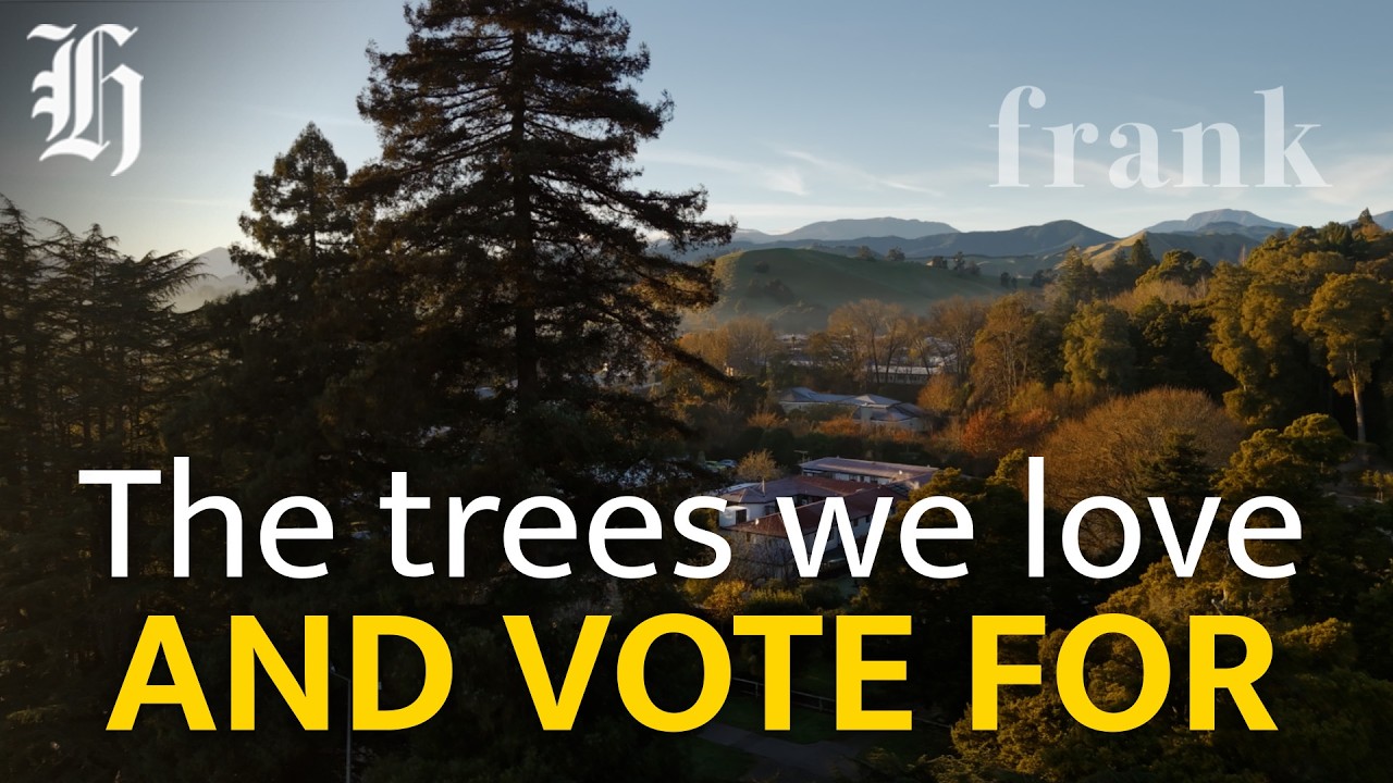 Frank Film - South Island Stories Episode 1: Phillipstown Hub: The trees we love and vote for!