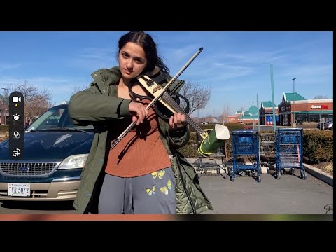 Fake Violinist Gypsy scammer #shorts #gypsy #scammer