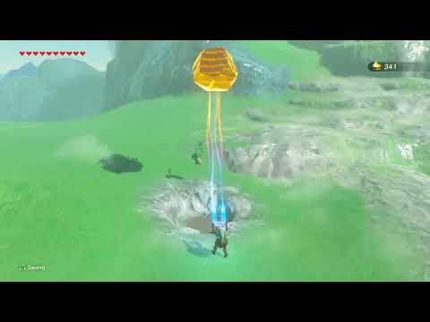 [DAY 341] of finding one korok seed everyday until Botw2 comes out