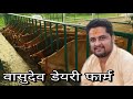 High-Tech Jersey Cow Dairy Farm कैसे शुरू करें - Vasudev Dairy Farm Sirsa Haryana