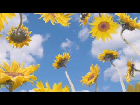 F**KING YOUNG/PERFECT COVER