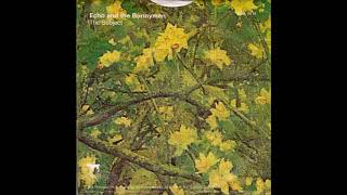 Echo And The Bunnymen - The Subject